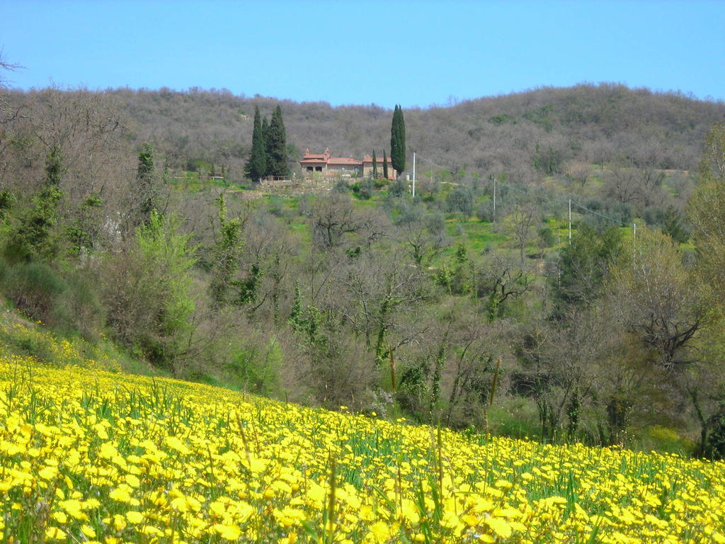 Allegro Agriturismo Argiano أريتسو المظهر الخارجي الصورة