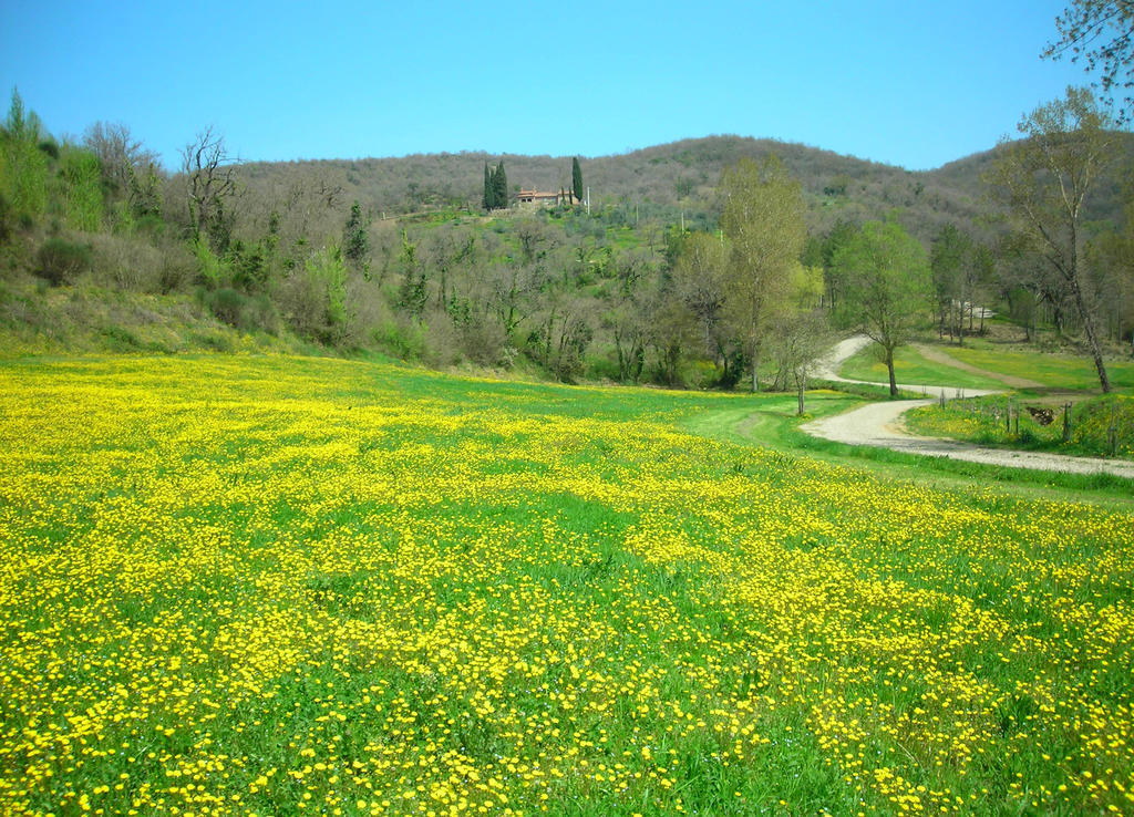 Allegro Agriturismo Argiano أريتسو المظهر الخارجي الصورة